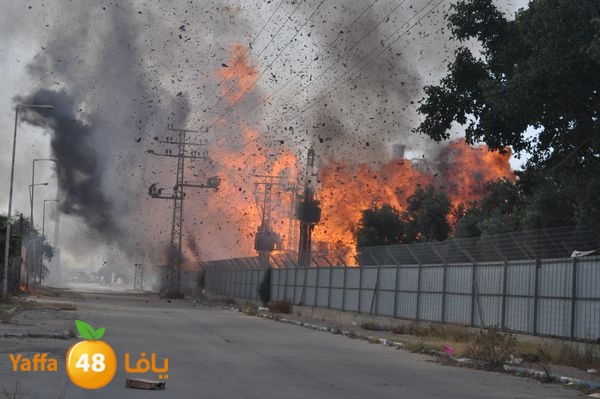 fireludkartoonmasna34 (2).JPG